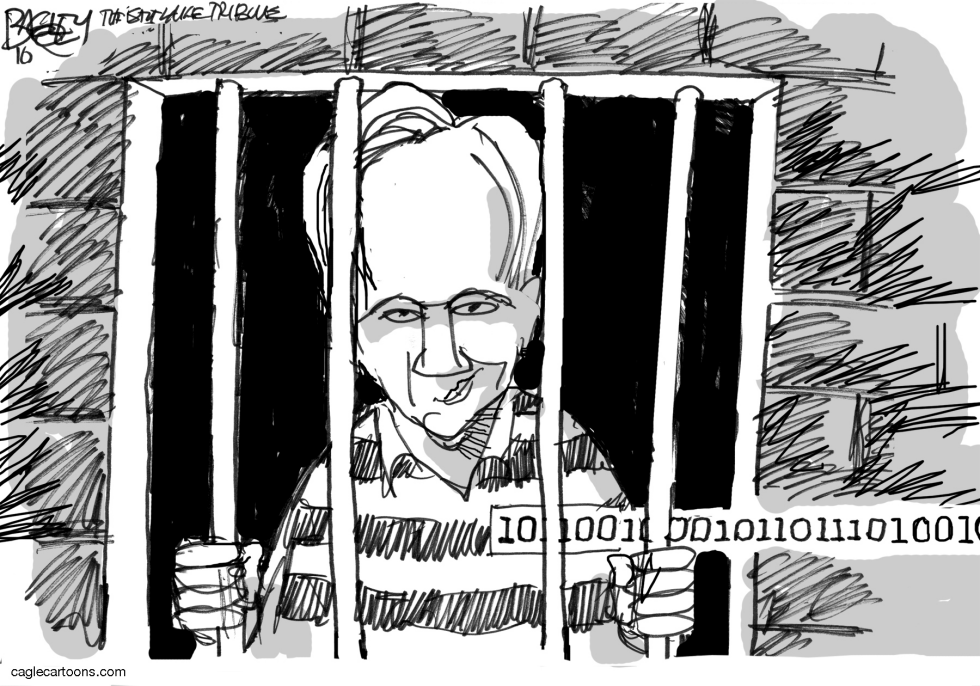 Assange Wikileaks