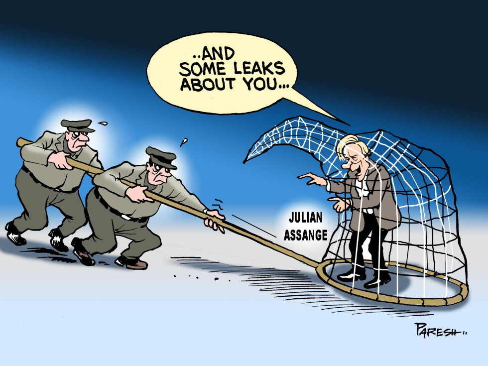 Julian in the net