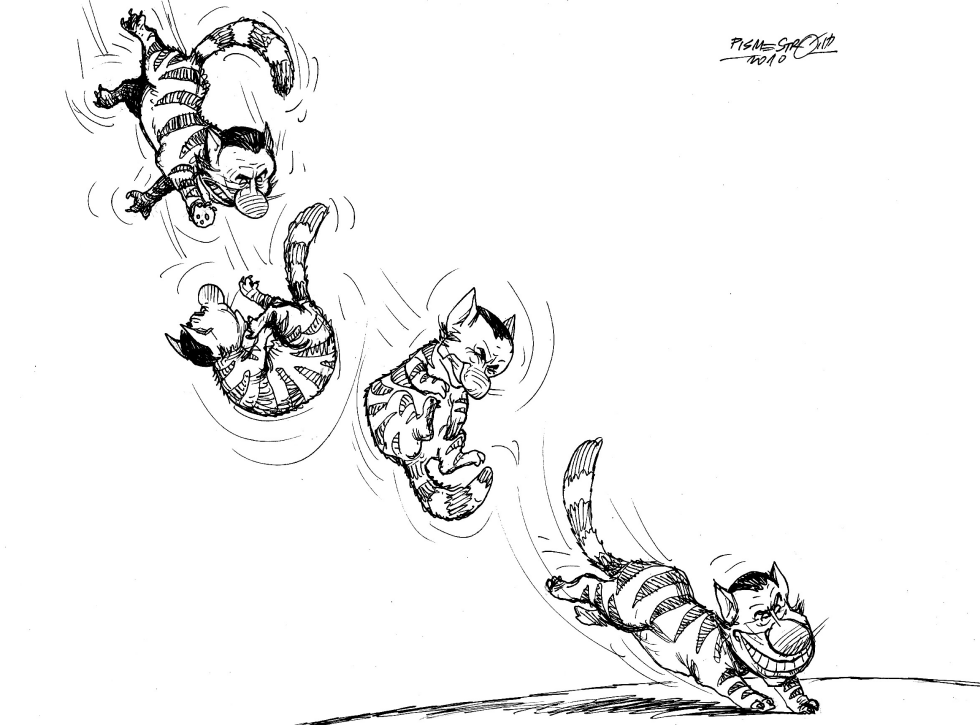 Tomcat Silvo