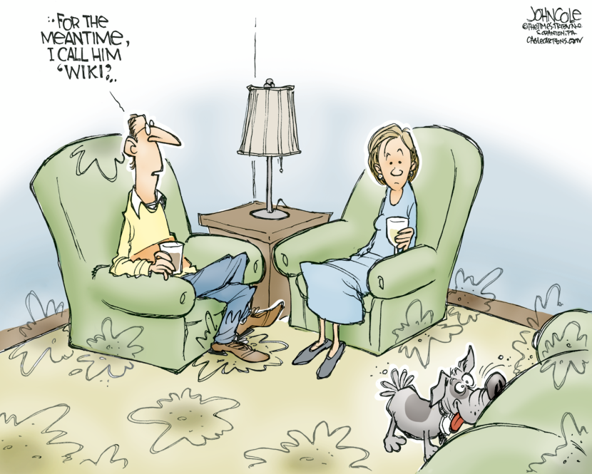 Wiki leaks COLOR