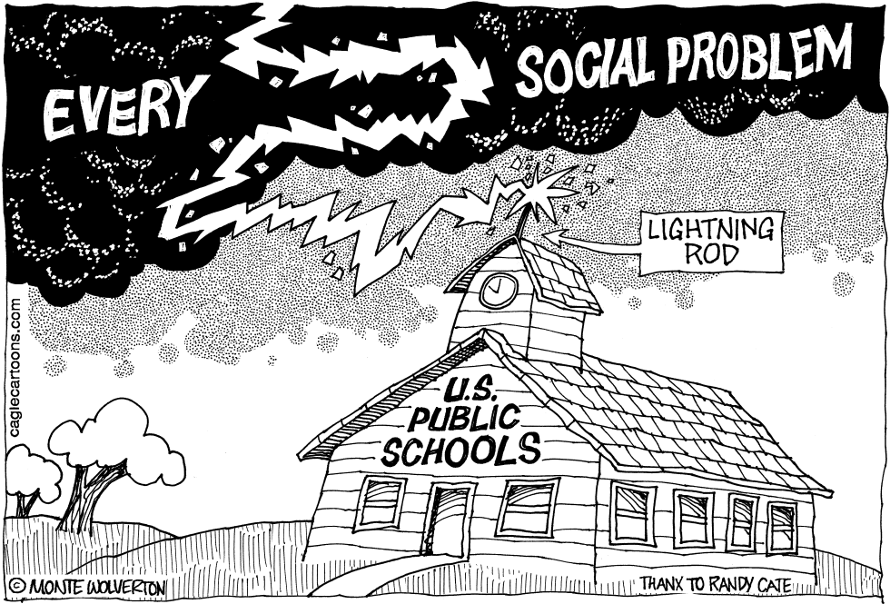 Blaming Public Schools