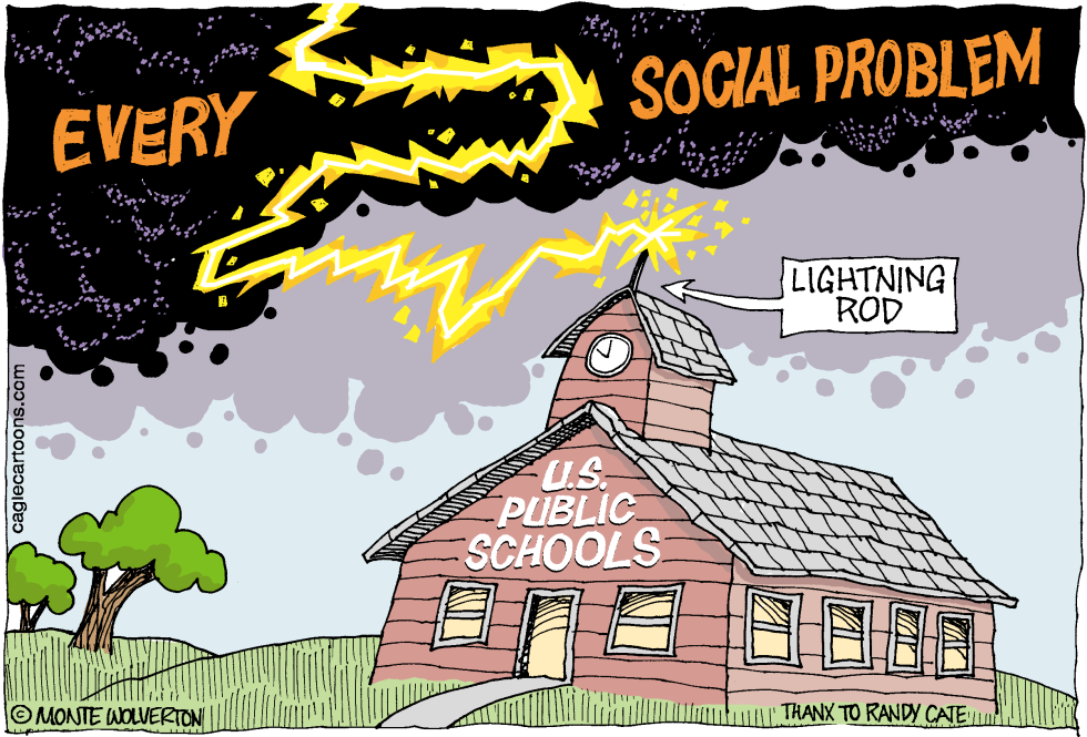  BLAMING PUBLIC SCHOOLS by Wolverton