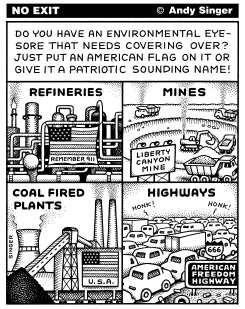 PUT A FLAG ON IT by Andy Singer