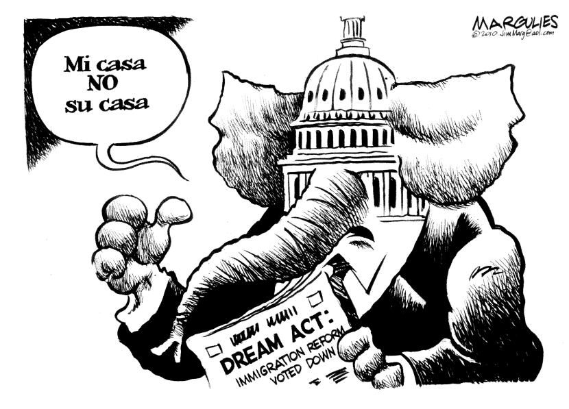 Dream Act voted down