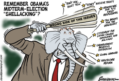 SHELLACKING by Steve Greenberg