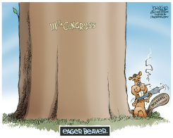 BOEHNER THE EAGER BEAVER  by John Cole