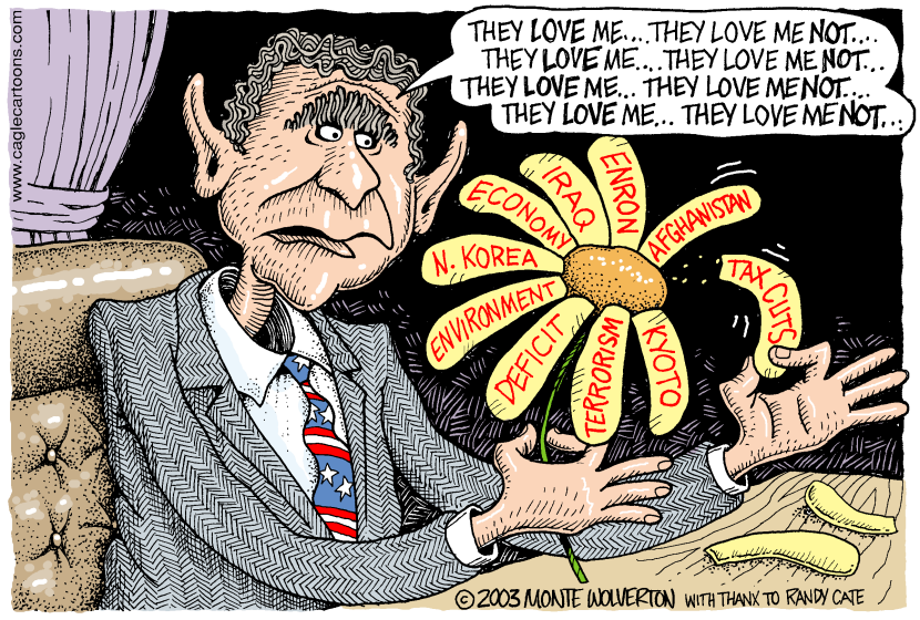 COLOR Bush public opinion