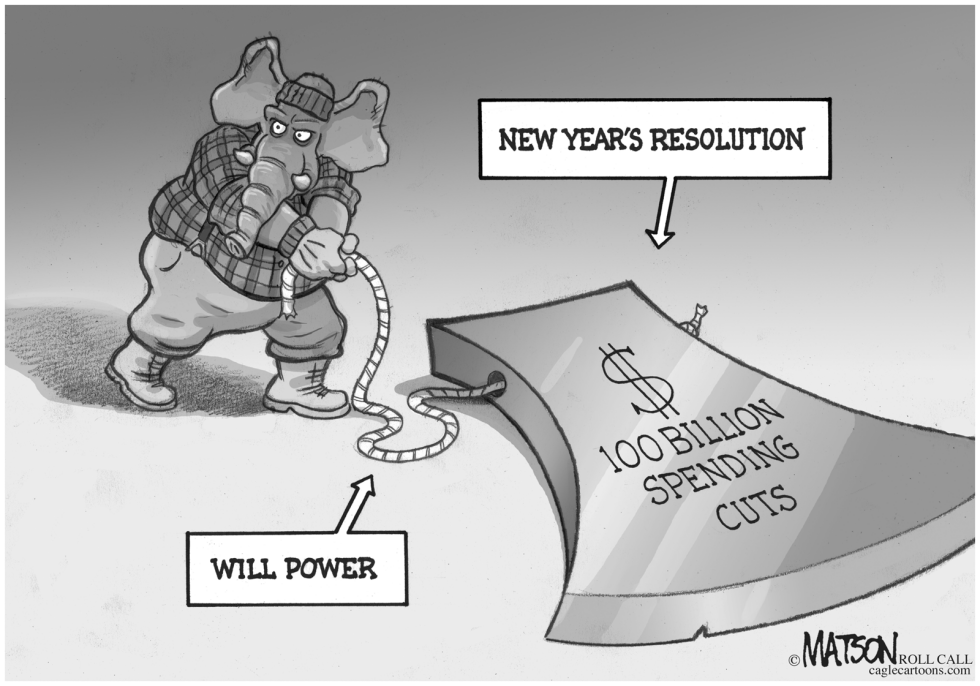 New Year's Budget Cutting Resolution