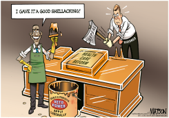 SHELLACKING HEALTH CARE REFORM by R.J. Matson