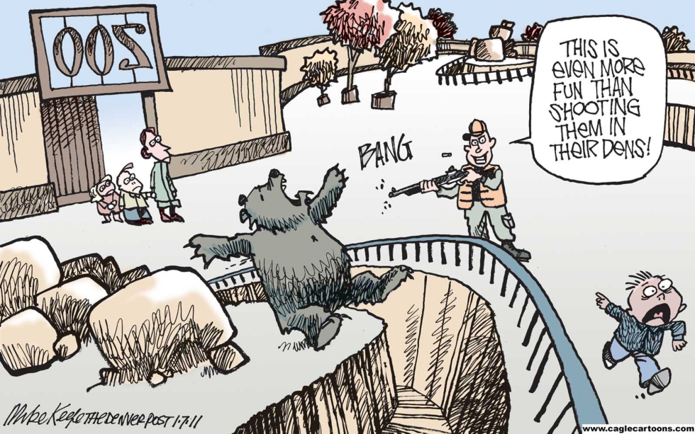LOCAL CO Shooting Hibernating Bears COLOR