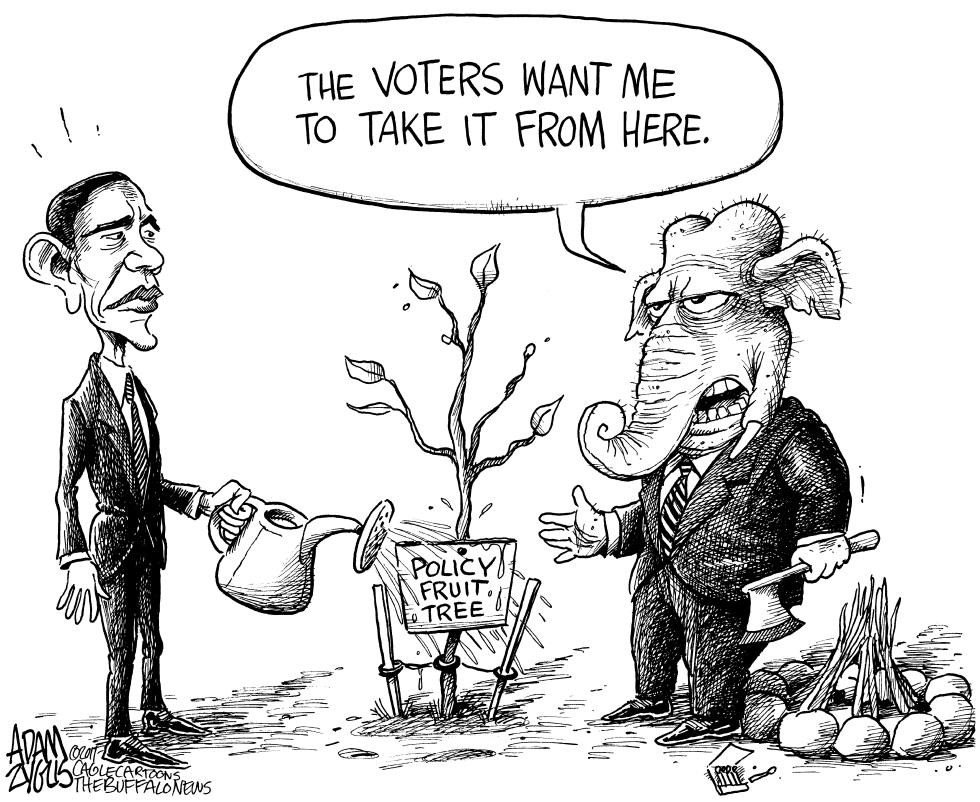 Obama Policy Fruit Tree
