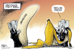 TOP BANANA by Nate Beeler