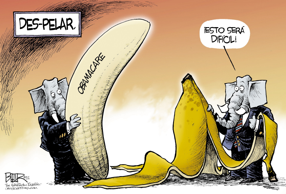 Cubriendo la Banana / COLOR
