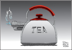 TUCSON SHOOTING  by Terry Mosher