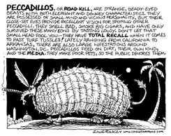 PECCADILLOS by Sandy Huffaker
