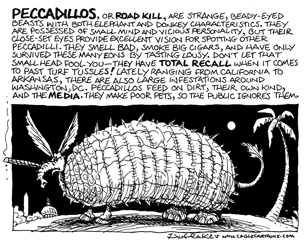 Peccadillos
