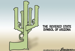 ARIZONA SYMBOL by Steve Greenberg