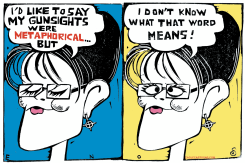 PALIN EXPLAINS  by Randall Enos