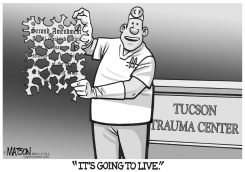 THE GOOD NEWS by R.J. Matson