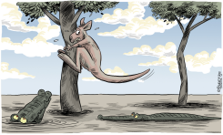 AUSTRALIA TODAY  by Martin Sutovec