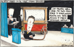 UK COALITION GOVERNMENT HARMONY  by Iain Green