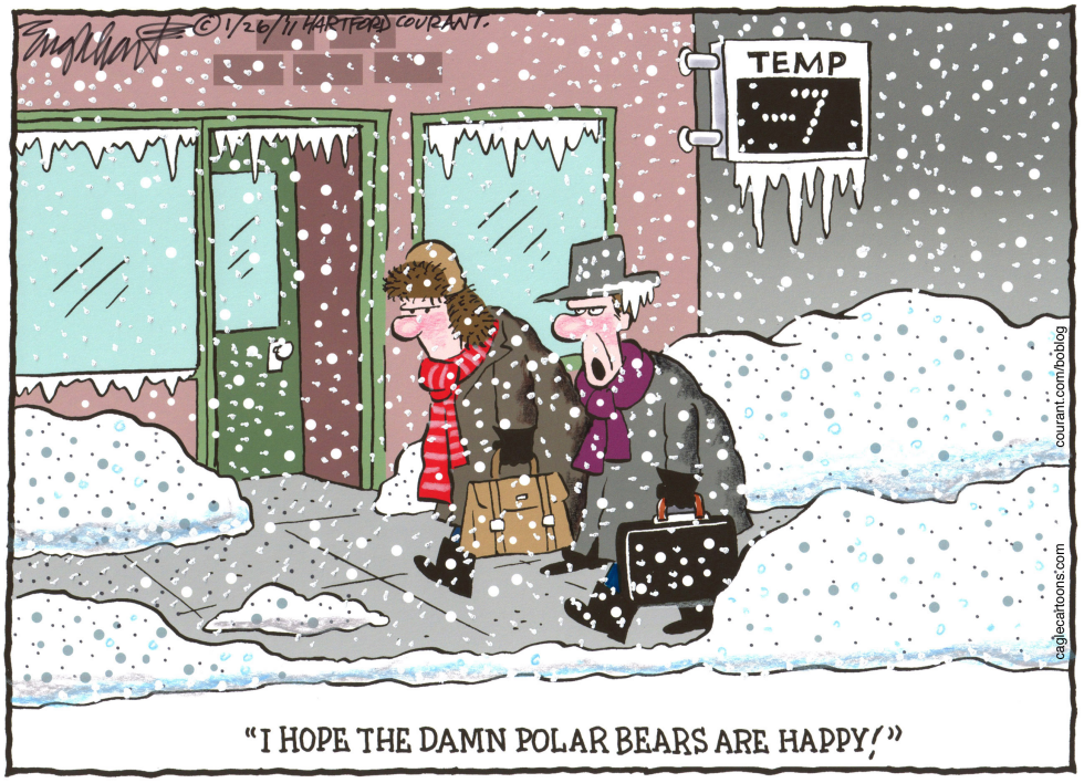 Polar Bears