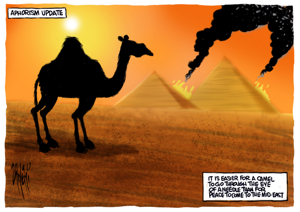 Egypt Protests  COLOR