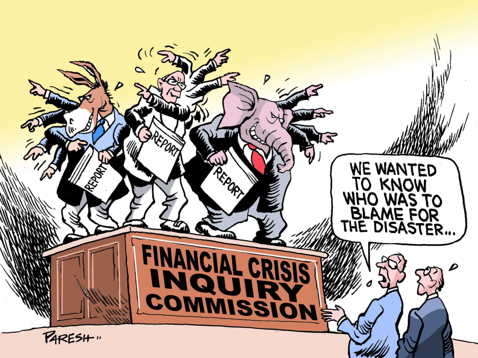  FINANCIAL CRISIS REPORT by Paresh Nath