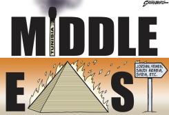 MIDEAST FLAMES by Steve Greenberg
