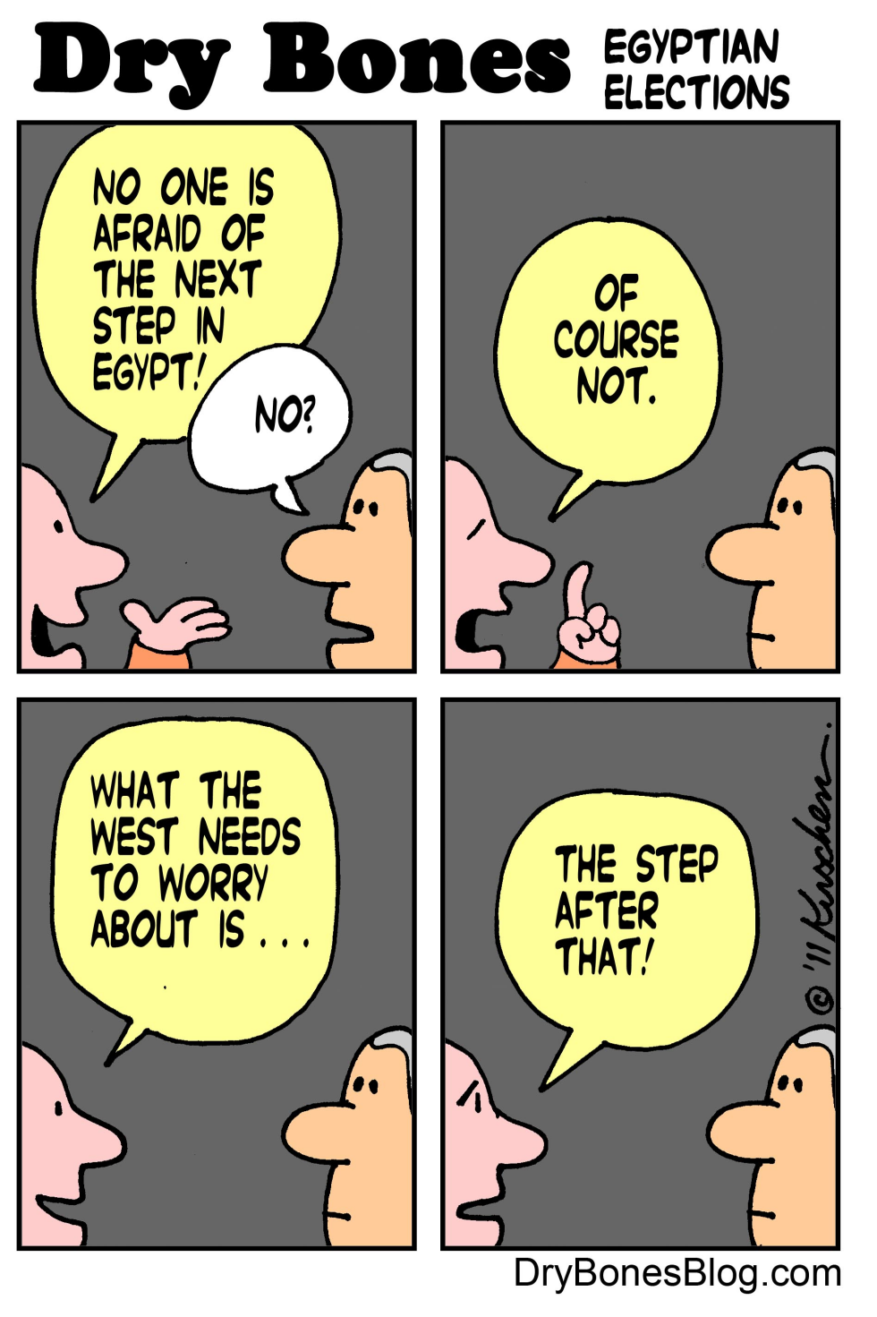 Egyptian Elections