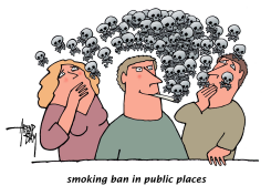 SMOKING BAN IN PUBLIC PLACES by Arend Van Dam