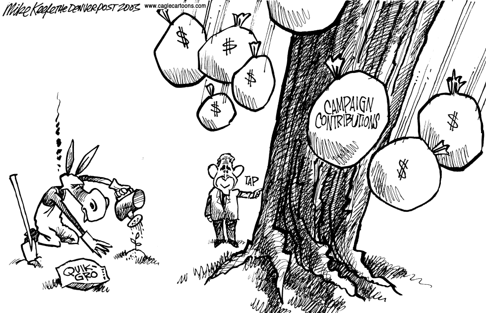 Campaign Contributions