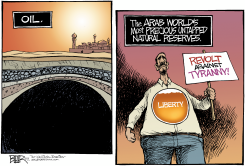 LIBERTY IN THE MIDDLE EAST  by Nate Beeler