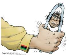 CRACKING THE GADHAFI NUT  by John Cole