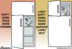 EGYPT-ISRAEL COLD PEACE by Steve Greenberg