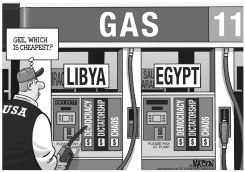 THE PRICE OF CHEAP GAS by R.J. Matson