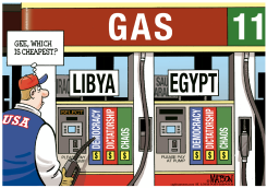 THE PRICE OF CHEAP GAS by R.J. Matson