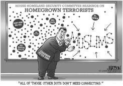 PETER KING CONNECTS THE DOTS by R.J. Matson