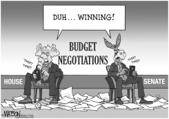 TOTAL FRICKIN BUDGET CUTTING ROCK STARS FROM MARS by R.J. Matson