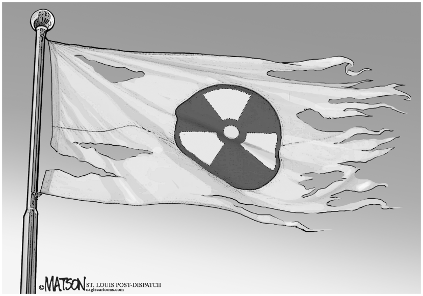Catastrofe en Japon
