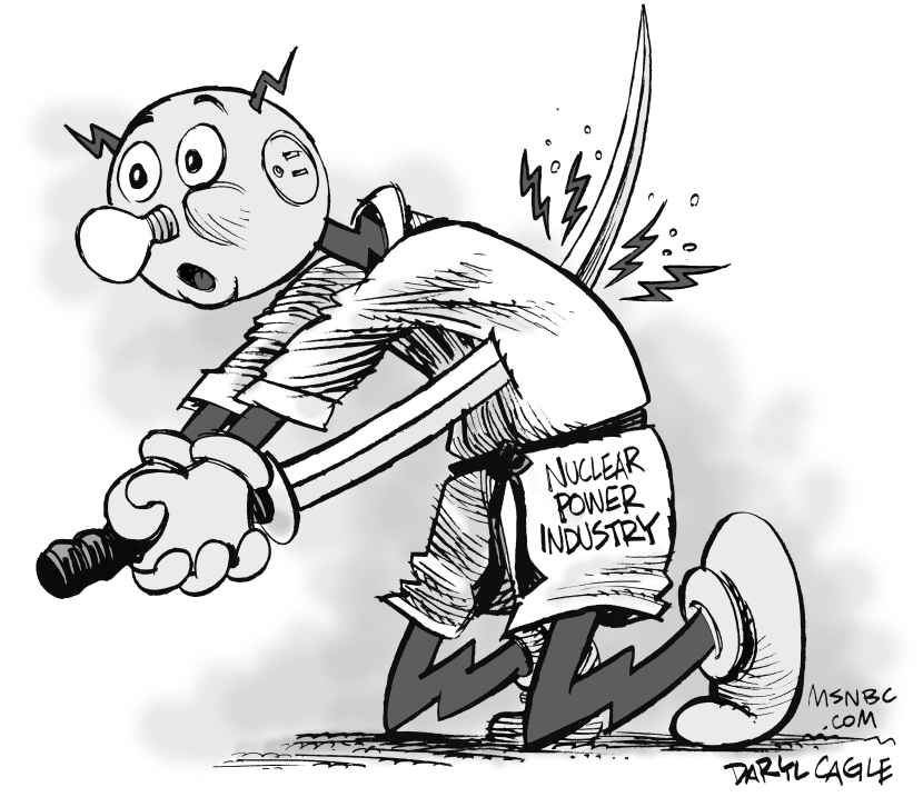 Nuclear Power Industry Suicide