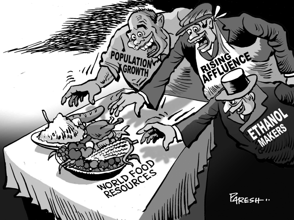 Food crisis factors