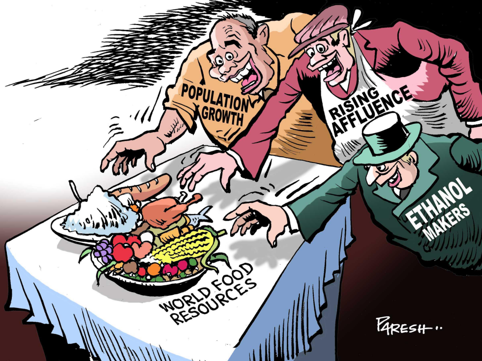 Food crisis factors COLOR
