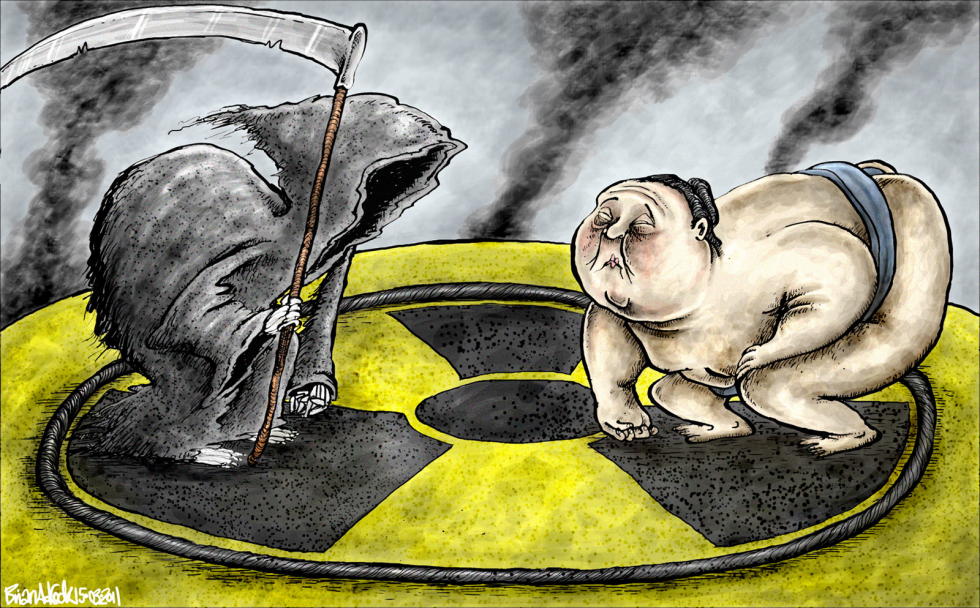 Japans Nuclear Crisis
