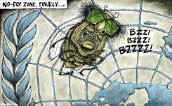 NO-FLY ZONE, FINALLY by Brian Adcock