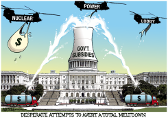 NUCLEAR POWER LOBBY by R.J. Matson