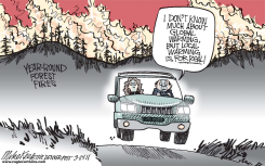 FOREST FIRES  by Mike Keefe