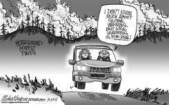 FOREST FIRES by Mike Keefe