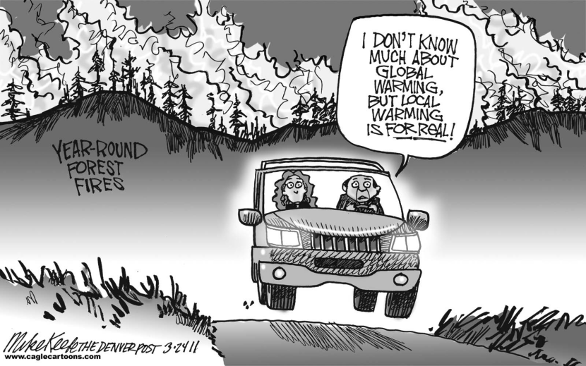 Forest Fires