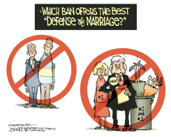 BEST DEFENSE OF MARRIAGE  by John Cole